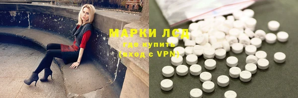 шишки Абаза