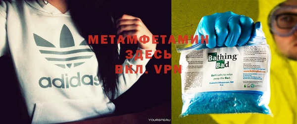 шишки Абаза