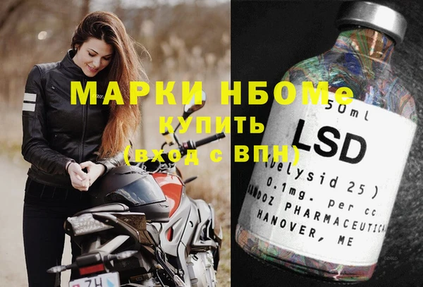 шишки Абаза