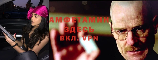 шишки Абаза
