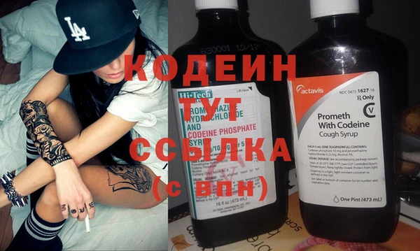 шишки Абаза