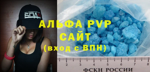 шишки Абаза