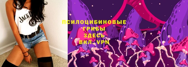 шишки Абаза