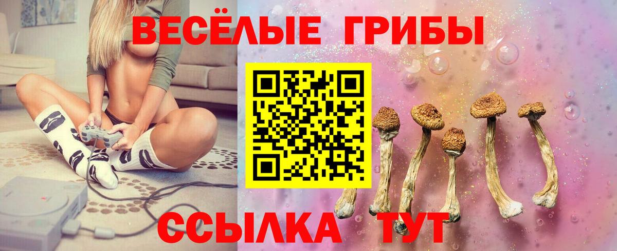 Галлюциногенные грибы MAGIC MUSHROOMS Шахты